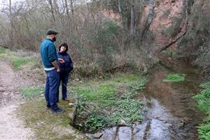 Reapareix la llúdriga a la capçalera del riu Anoia després de dècades desapareguda