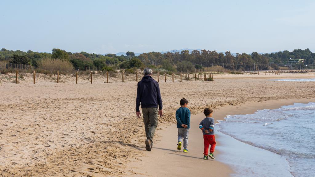 Renaturalització de la platja Llarga de Vilanova i la Geltrú. CC Garraf