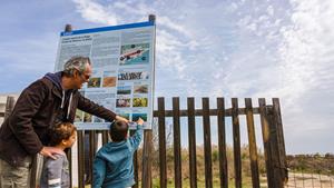 Renaturalització de la platja Llarga de Vilanova i la Geltrú