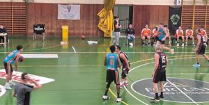 REUS PLOMS SALLE VETS - AB VENDRELL