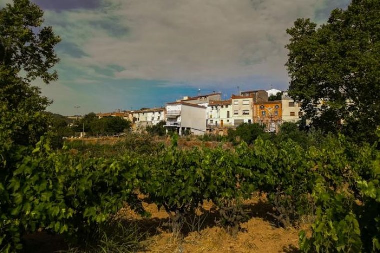 Sant Quintí modifica la seva normativa urbanística per millorar la regulació del sòl no urbanitzable. Ajt Sant Quintí de Medion