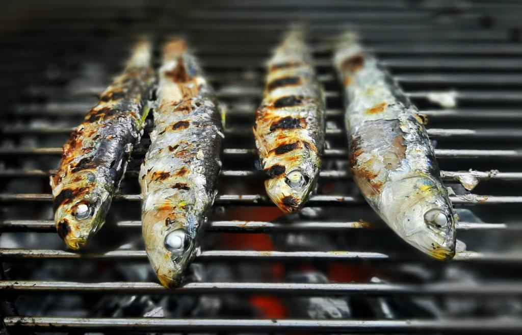Sardines a la brasa. Eix
