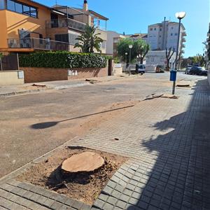 Tala indiscriminada de desenes d'arbres al barri de la Bòbila de Vilanova i la Geltrú. Entitats pel Clima