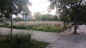 Terrenys del Llimonet. Eix