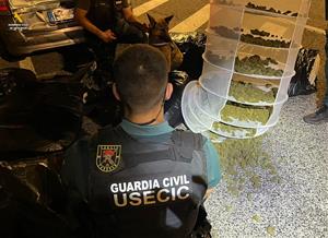 Troben 22 quilos de marihuana dins d'un cotxe en un control en una de les sortides de l'AP-7 del Vendrell. ACN