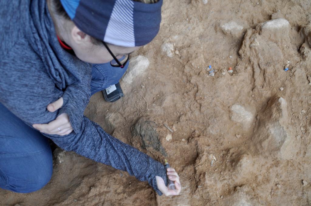 Troben noves restes d'ocupació neandertal de fa 89.000 anys al jaciment de La Balma de la Griera de Calafell. ACN