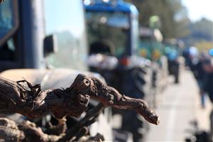 Unió de Pagesos es mobilitza a Sant Sadurní d’Anoia per exigir la modificació de la llei de la cadena alimentària