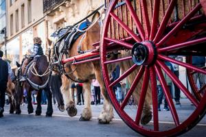 Vilafranca espera un centenar de cavalls als tradicionals Tres Tombs del proper diumenge. Amants dels Cavalls 