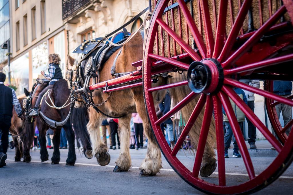 Vilafranca espera un centenar de cavalls als tradicionals Tres Tombs del proper diumenge. Amants dels Cavalls 