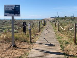 Vilanova estrenarà l'1 de maig un espai per a gossos a la platja del Far