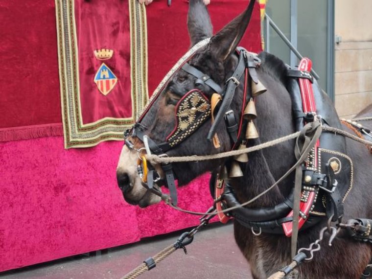 Vilanova i la Geltrú viu la festivitat de Sant Antoni amb els tradicionals Tres Tombs. Ajuntament de Vilanova