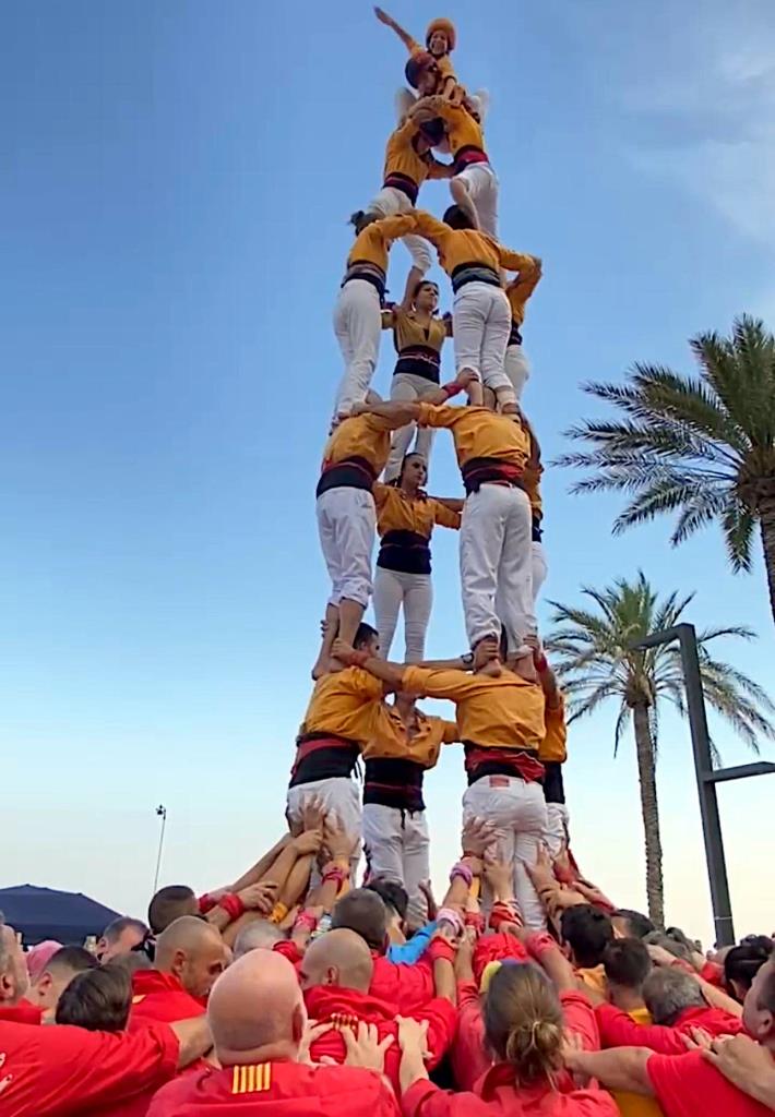 4d7 dels Bous de la Bisbal. Eix