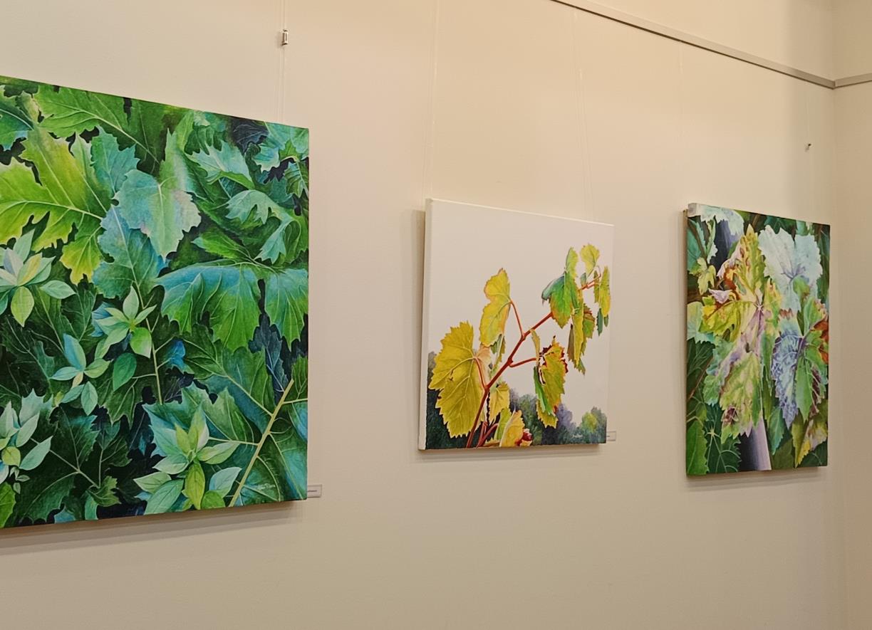 Acrílics d'Anna Ribera - La bellesa efímera - Biblioteca Pedrolo. Eix