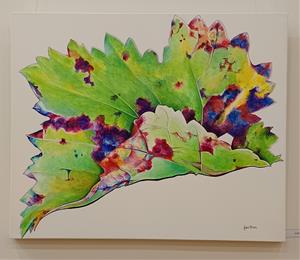 Acrílics d'Anna Ribera - La bellesa efímera - Biblioteca Pedrolo