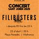 Concert+de+Sant+Jordi+amb+Filibusters