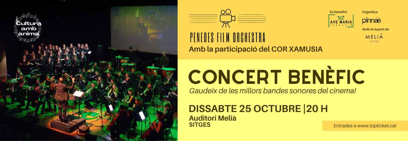 Concert en benefici de la Fundació Ave Maria