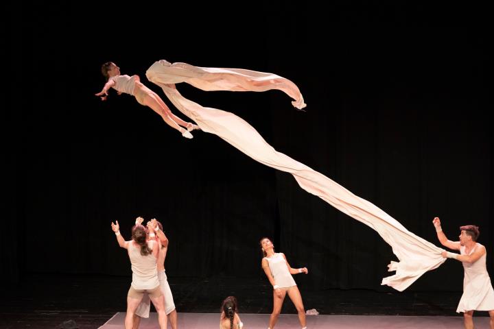 Desprovisto. CÍA. UPARTE