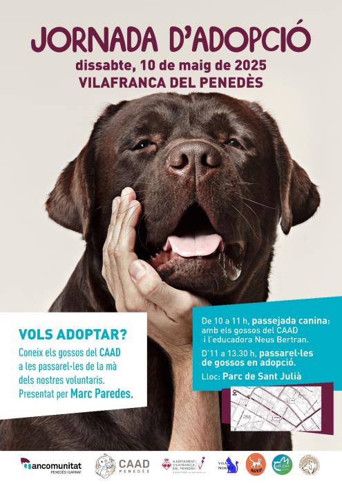 El CAAD Penedès organitza una passarel·la d'adopció de gossos