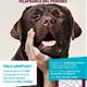 El+CAAD+Pened%c3%a8s+organitza+una+passarel%c2%b7la+d%27adopci%c3%b3+de+gossos
