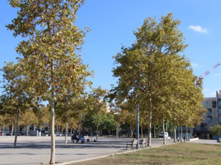 Esplaiada 2025