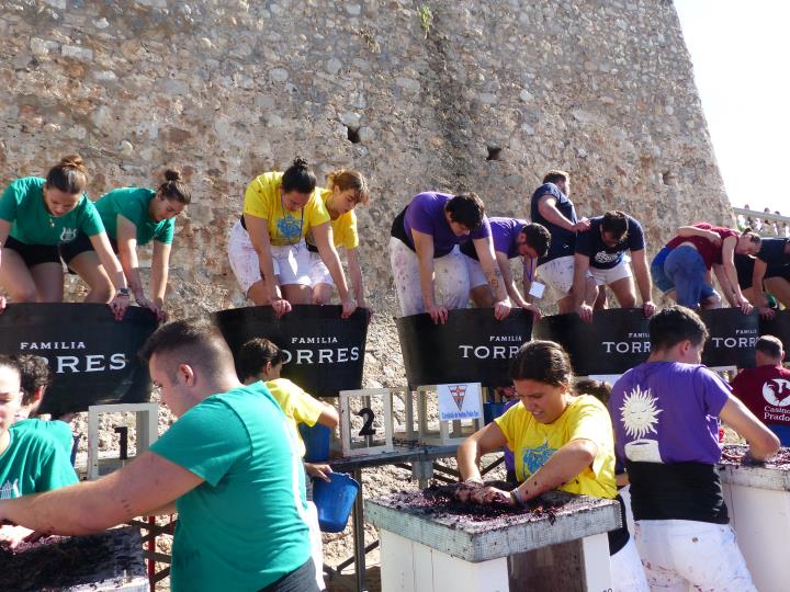 Festa de la Verema