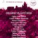 Festival+Vilant%c3%ad+2025