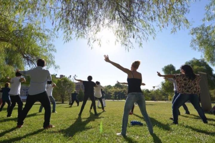 La Primavera del Cava