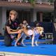 Passarel%c2%b7la+d%27adopci%c3%b3+de+gossos