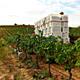 Passejades+en+%c3%a8poca+de+verema%3a+zona+d%27El+Rebato+i+Torre-ramona