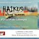 Presentaci%c3%b3+de+llibre%3a+%27Haikus+i+altres+poemes%27+d%e2%80%99Oriol+Pi+de+Cabanyes