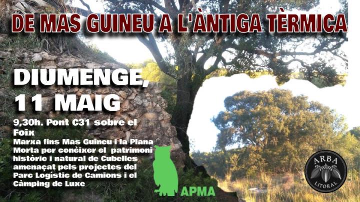 Sortida ambiental a Mas Guineu