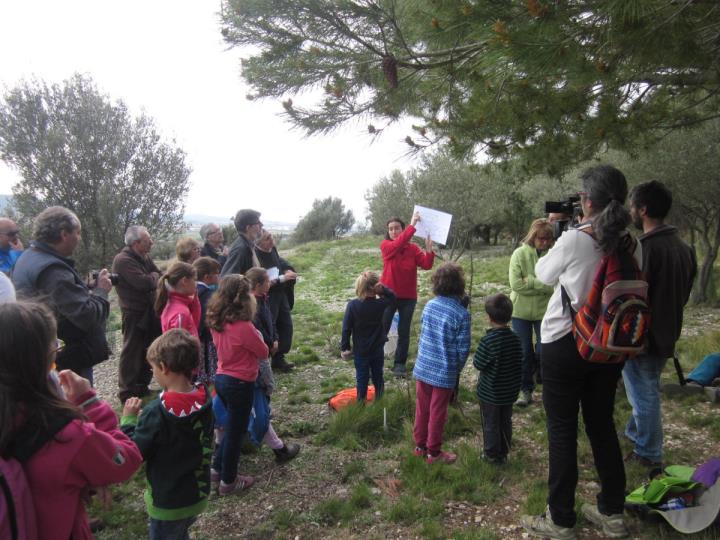 Una muntanya de fòssils