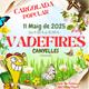 VADE+Fires+2025