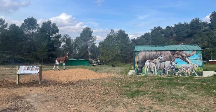 Visita guiada al Jaciment Paleontològic Els Casots