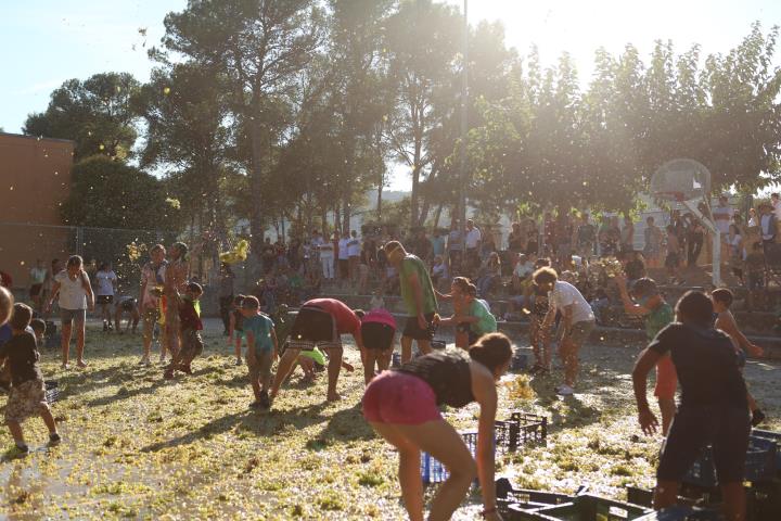 XIV Festa de la verema 