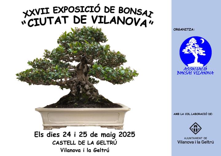 XXVII Exposició de Bonsai 