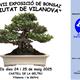 XXVII+Exposici%c3%b3+de+Bonsai+%22Ciutat+de+Vilanova%22