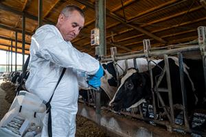 Agricultura estén la vacunació de la dermatosi nodular contagiosa al Penedès