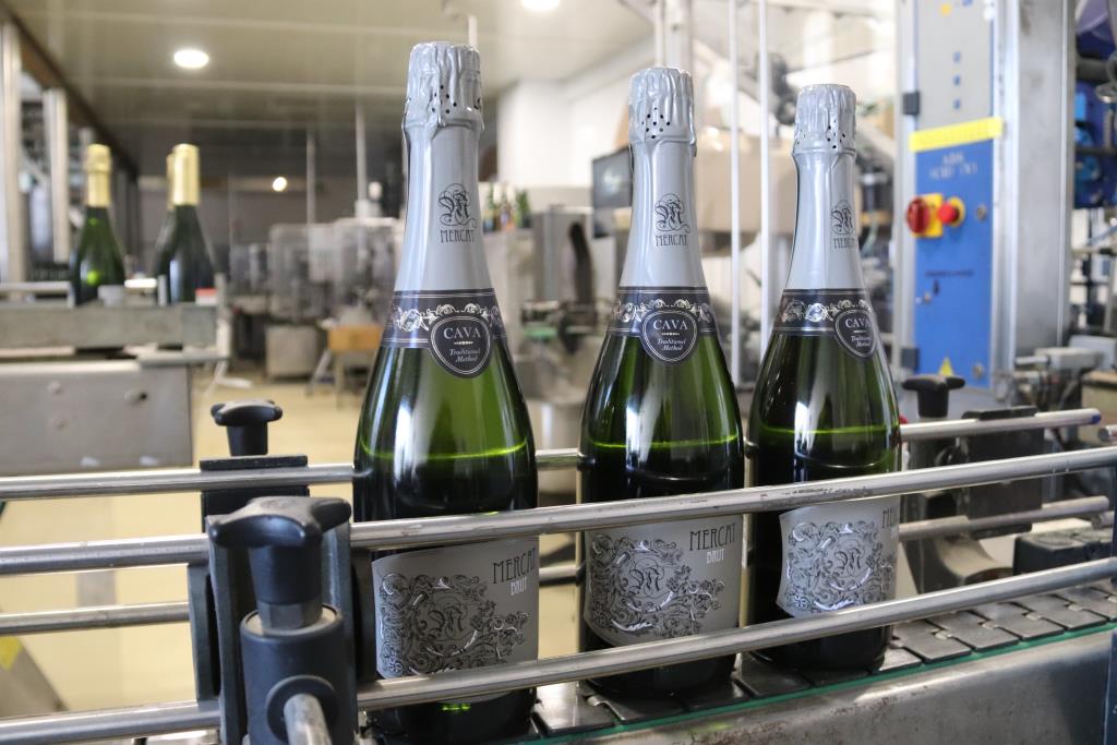 Ampolles de cava de Molí Parellada a la línia d'embotellament . ACN