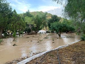 ARBA Litoral alerta dels impactes ambientals i geomorfològics de la riuada al riu Foix: “El riu ha remodelat el paisatge”. Arba Litoral