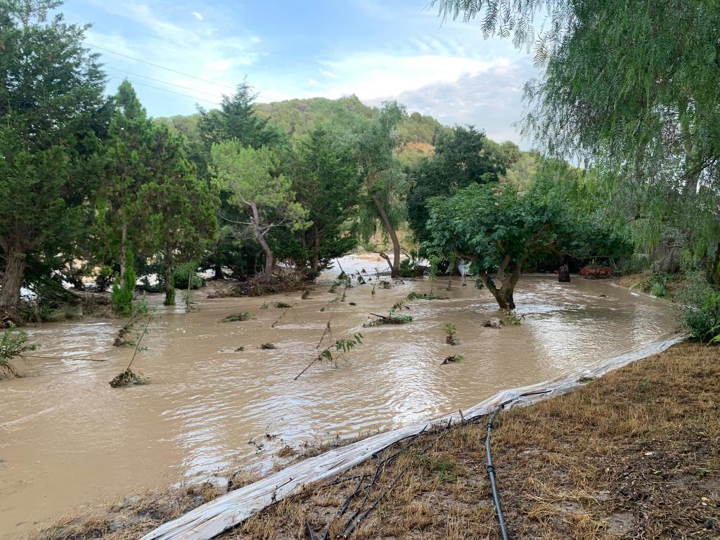 ARBA Litoral alerta dels impactes ambientals i geomorfològics de la riuada al riu Foix: “El riu ha remodelat el paisatge”. Arba Litoral