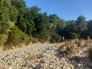 ARBA Litoral alerta dels impactes ambientals i geomorfològics de la riuada al riu Foix: “El riu ha remodelat el paisatge”
