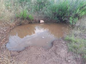 ARBA Litoral alerta dels impactes ambientals i geomorfològics de la riuada al riu Foix: “El riu ha remodelat el paisatge”