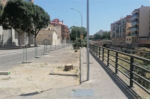 Arbres talats a la Riera de la Bisbal. Eix