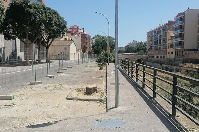 Arbres talats a la Riera de la Bisbal. Eix