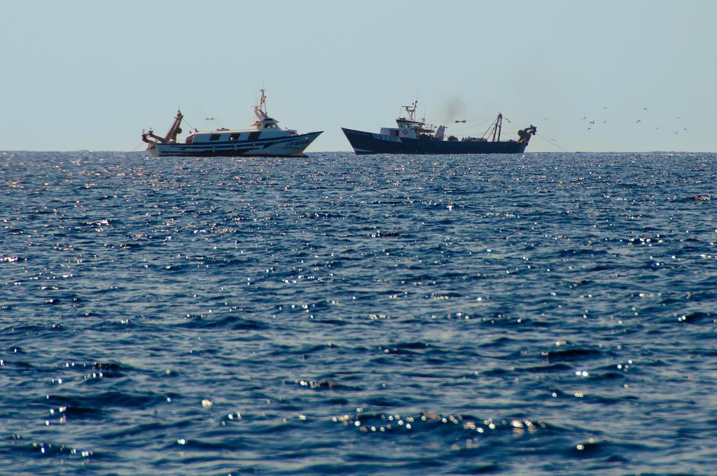 Barques d’arrossegament al litoral vilanoví. Amadeu Torné Güell