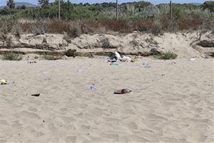 Brutícia a la Platja del Prat de Vilanova. Eix