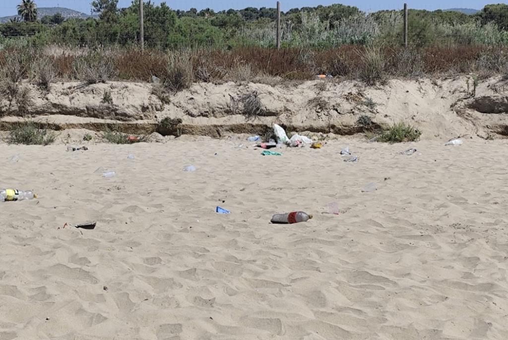 Brutícia a la Platja del Prat de Vilanova. Eix