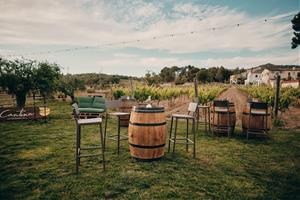 Cantina Viladellops: l'aposta gastronòmica d’Olèrdola amb sabor local i esperit creatiu. Grup Sagaz
