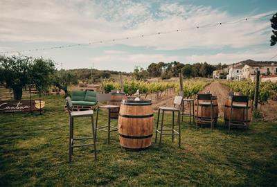 Cantina Viladellops: l'aposta gastronòmica d’Olèrdola amb sabor local i esperit creatiu. Grup Sagaz